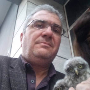 Portrait of Kostas Raptis. He has short grey hair and is wearing glasses a grey shirt and jacket He is staring and smiling with an owl next to him.