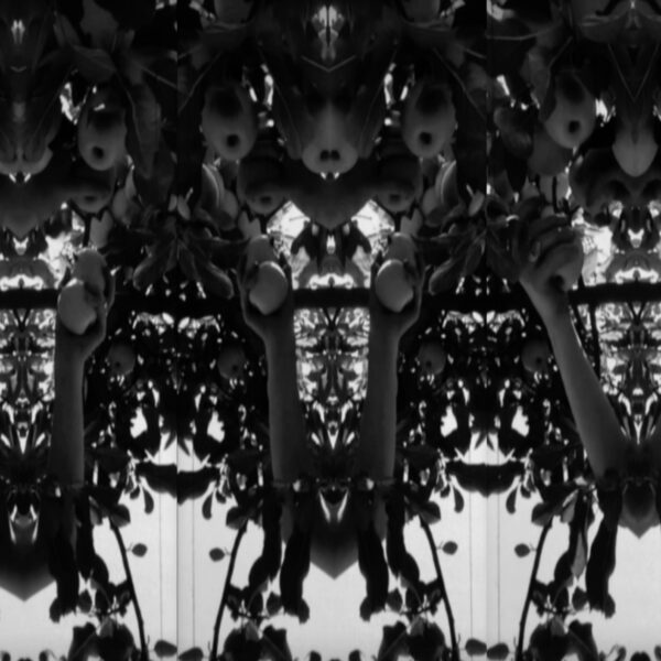 Gaze-III-video